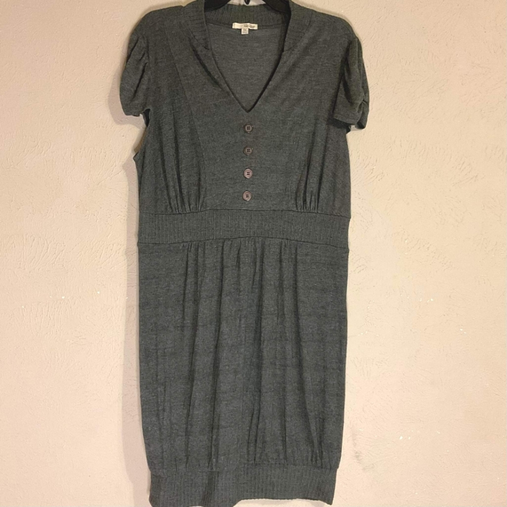 Cute Gray Short Sleeved sweater dress 1X